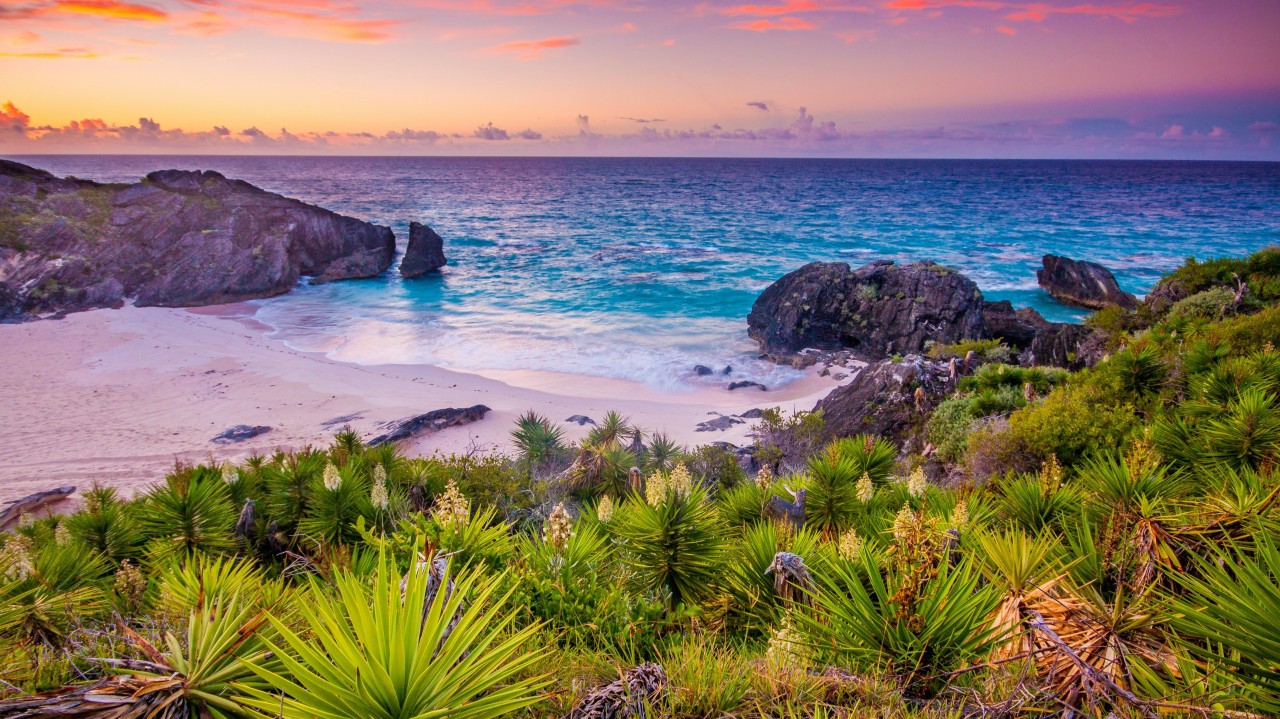 The future of Bermudian long-term reinsurance